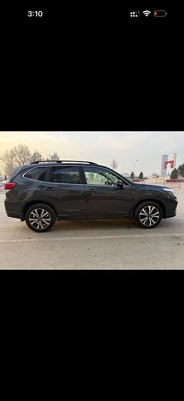 Subaru: Subaru Forester: 2019 г., Кроссовер — 10