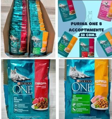 расческа для животных: Продам влажный корм для кошек Purina ONE Полнорационный
