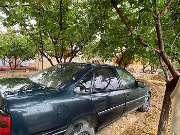 Opel: Opel : 1994 г., 1.8 л, Механика, Бензин, Седан — 4