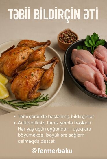 Quş: İnsan sağlamdırsa xoşbəxtdir. Sağlam qalmaq üçün həftədə 3-4 ədəd — 2