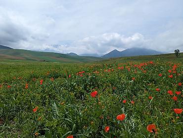 туры отдых: Jeep tours with driver-guide all over Kyrgyzstan! Джип туры по — 2