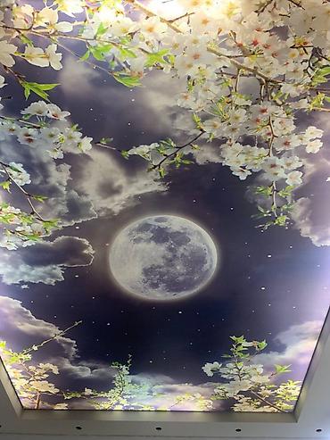 Натяжной потолок: Натяжной потолок 3D потолки, Матовое, Глянцевое Демонтаж, Монтаж, Бесплатный замер — 15