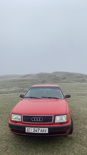 neta ls: Audi 100: 1991 г., Механика, Седан — 2