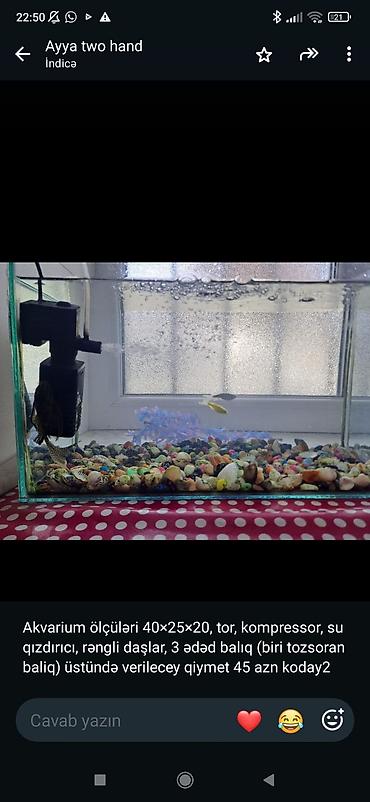 baliq yemleri: Dördbucaq akvarium, Balıqlarla birlikdə, 20 l — 1