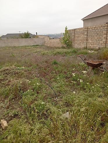 torpag satilir: 2 sot, Mülkiyyətçi, Kupça (Çıxarış), Texniki pasport — 4