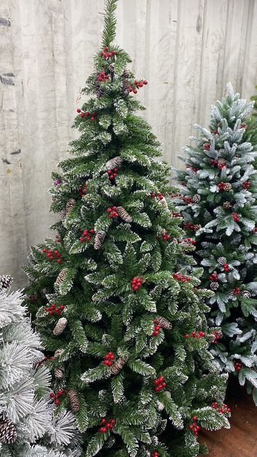Ёлки: Елки новогодние елки литые елки пышные елки Идут продажи at lalafo.kg — 4 Ёлки: Елки новогодние елки литые елки пышные елки Идут продажи — 4