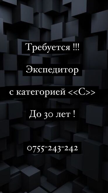 автомойщик без опыта: Другие специальности