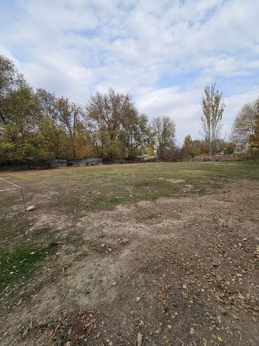 дом сретенко: 4 соток, Для бизнеса, Красная книга, Договор купли-продажи