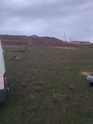 Torpaq sahələrinin satışı: Tikinti — 8