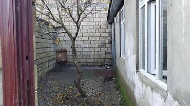 pearl construction mmc: 25 kv. m, 2 otaqlı, Qaz, İnternet, İşıq — 7