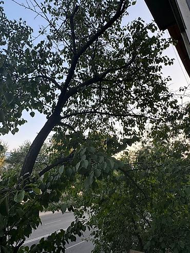 Долгосрочная аренда комнат: 20 м², С мебелью полностью at lalafo.kg — 10 Долгосрочная аренда комнат: 20 м², С мебелью полностью — 10