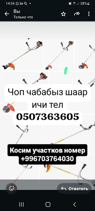 чоп алабыз: Чоп чабабыз шаар ичи чоп келишим турдо чоп чабабыз чоп чабабыз чоп