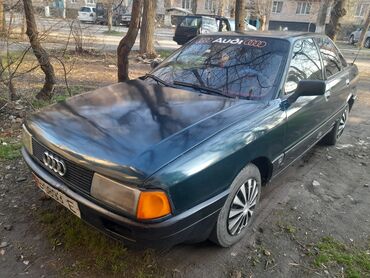 Audi: Audi 80: 1987 г., 1.8 л, Механика, Бензин, Седан