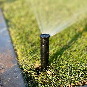 Газон: Живой Газон и Автополив Дизайн жасайбыз баасы келишим турдо болот! at lalafo.kg — 16 Газон: Живой Газон и Автополив Дизайн жасайбыз баасы келишим турдо болот! — 16