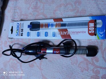 Аквариумы: Водоросли живые: Анубиас Бартера нана ( цветёт белыми и розовыми — 19