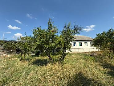 Həyət evləri və villaların satışı: 3 otaqlı, 72 kv. m — 20