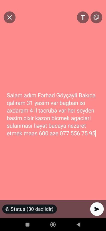 Paltar tikişi: Bağban xidməti - Bağ və həyət işləri üzrə 4 illik təcrübə -