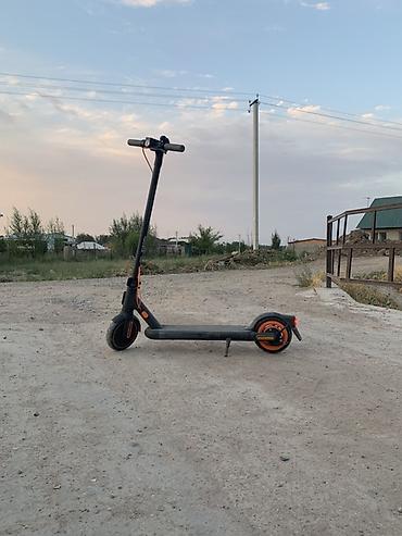 мухобойка ипсум: Электросамокат, Xiaomi, Б/у — 1