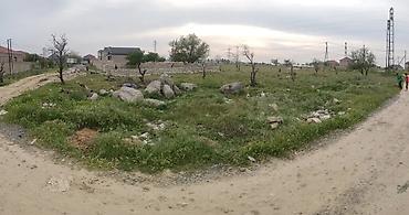 zabratda: 4 sot, Tikinti, Mülkiyyətçi — 2