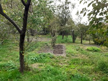 Torpaq sahələrinin satışı: 10 sot, Tikinti, Mülkiyyətçi, Kupça (Çıxarış) — 6