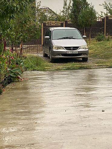 Honda: Honda Odyssey: 2003 г., 2.3 л, Автомат, Бензин, Минивэн — 10
