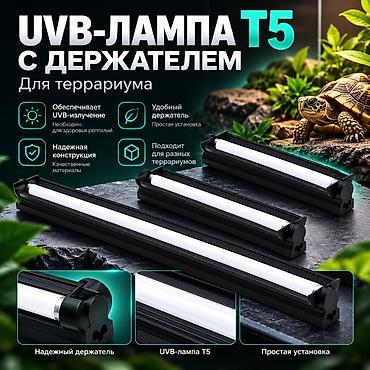 морской аквариум: 🐢 ТЕРРАРИУМ ДЛЯ ЧЕРЕПАХИ С ПОДОГРЕВОМ И ТЕРМОРЕГУЛЯТОРОМ Создайте — 6