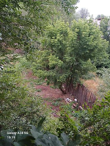 Полки для вещей и одежды: Полка для вещей и одежды, Дерево — 20