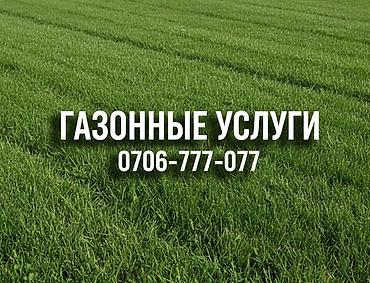 Газонные услуги 
10-мм до 60-мм ширина 2-4 метр ✅