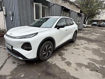 Электромобиль кроссовер (белый), 5 дверей, 5 мест. Основные