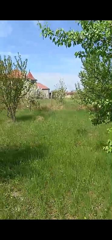 astara ev kiraye: 8 sot, Tikinti, Mülkiyyətçi, Kupça (Çıxarış) — 5