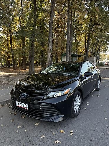 ford taurus: Toyota Camry: 2020 г., 2.5 л, Автомат, Гибрид, Седан — 1