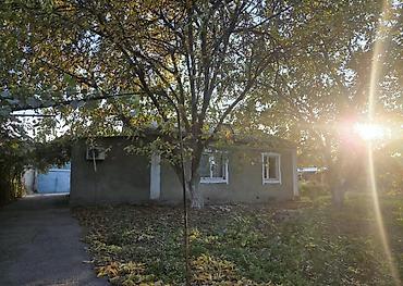 🏡🔥 ПРОДАЁТСЯ ДОМ В ЦЕНТРЕ СЕЛА + 2,16 ГА ОРОШАЕМОЙ ЗЕМЛИ! 💰 ВСЁ ЗА $70