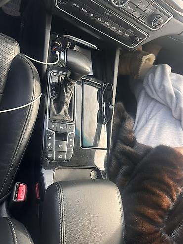 Kia: Kia K7: 2019 г., 2.4 л, Автомат, Бензин, Седан — 4