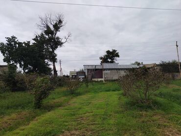 Torpaq sahələrinin satışı: 130 sot, Tikinti, Kupça (Çıxarış) — 8