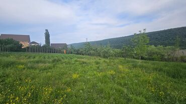 Torpaq sahələrinin satışı: 40 sot, Tikinti, Mülkiyyətçi, Kupça (Çıxarış) — 6