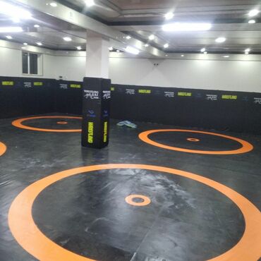 Другие тренажеры: Профессиональные спортивные маты для единоборств Назначение: - борьба — 30