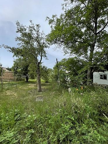 Продажа коттеджей и домов: Ысык -Көлдүн түштүк тарабынан Кажы- Сай айылынан үй сатылат . Участогу — 13