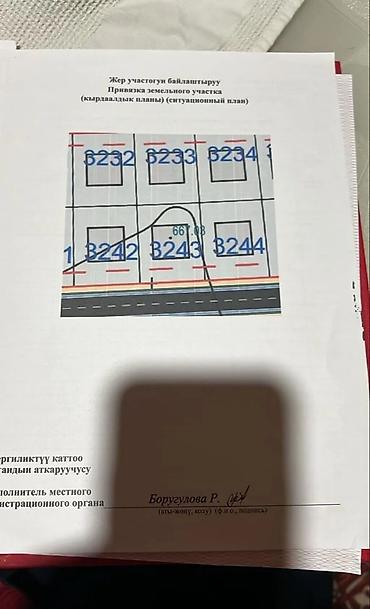 баа: 423 соток, Курулуш, Сатып алуу-сатуу келишими, Кызыл китеп — 4
