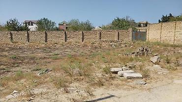 Torpaq: 12 sot, Kupça (Çıxarış) — 3