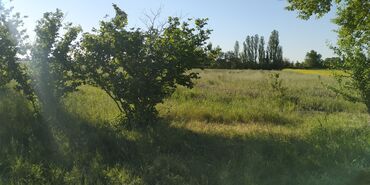 Torpaq sahələrinin satışı: 116 sot, Kənd təsərrüfatı, Barter mümkündür, Kupça (Çıxarış) -da lalafo.az — 15 Torpaq sahələrinin satışı: 116 sot, Kənd təsərrüfatı, Barter mümkündür, Kupça (Çıxarış) — 15