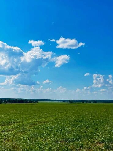 продаю трёхкомнатную квартиру: Для сельского хозяйства, Тех паспорт, Договор купли-продажи