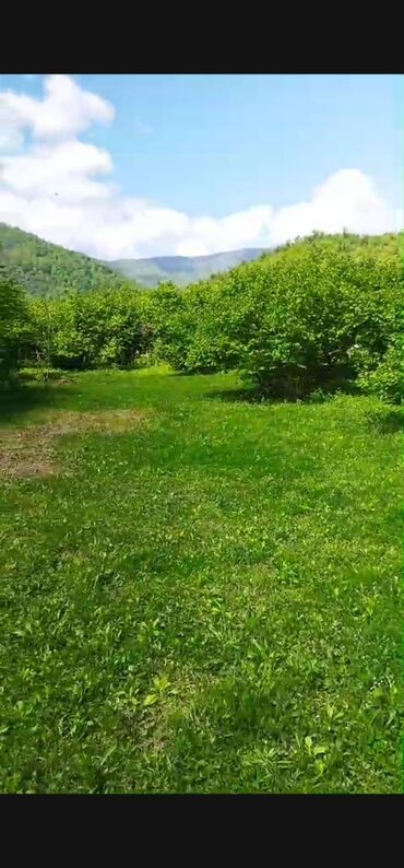 mərdəkanda ucuz həyət evləri: 27 sot, Biznes üçün