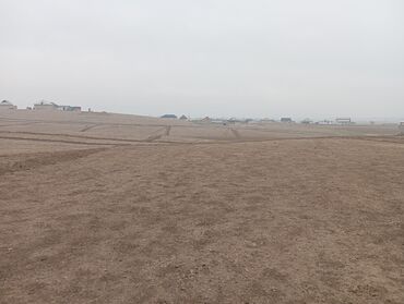 Продажа участков: 1300 соток, Для сельского хозяйства, Договор купли-продажи — 9