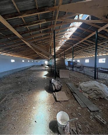 Продажа сельхоз предприятий: Кошара, 40 соток, Действующий, Частично с оборудованием, Электричество, Скважина, Холодная вода — 6