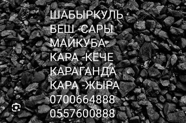 уголь штыб: Shabyrkuls