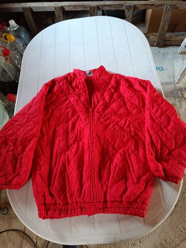 barbolini zimske jakne: XL (EU 42), With lining