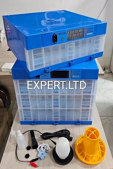 inkubator cucesi: Çin, Fabrik istehsalı, Tam avtomat, Bütün növ quşlar üçün — 9