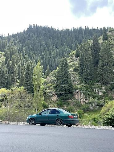 almera: Nissan Almera: 2001 г., 1.5 л, Механика, Бензин, Седан — 4