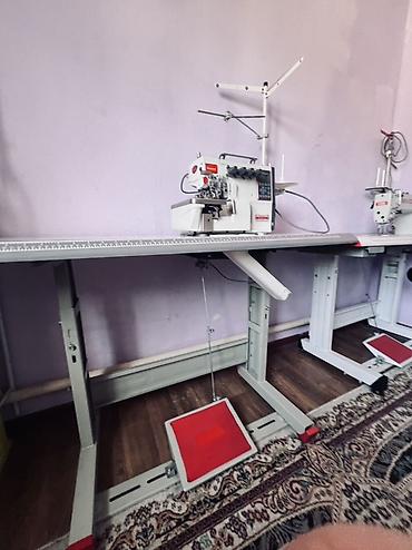 Bruce, В наличии, Самовывоз at lalafo.kg Bruce, В наличии, Самовывоз