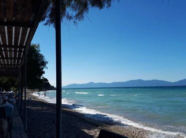 Άλλα Επαγγελματικά Ακίνητα: Η ιδιωτική επιχείρηση "Μπλάκης Φαντασία" βρίσκεται στην παραλία — 24